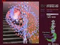 Perfect Cherry Blossom perfect Lunatic Youmu battle
