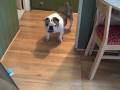 videos de Bend It Like Grover