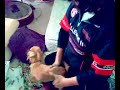 Pinky vs Makky