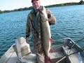 Ottertail County Muskie Ottertail County Muskie