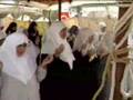 Vakfe2 Arafat Mekke İhram