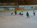 Soustředění Pelhřimov 2009