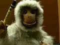 MEAT MONKEY MEAT MONKEY