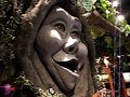 Rainforest Cafe - Sights and Sounds