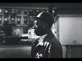 Pete Rock - Fly High