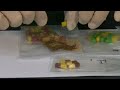 Human flesh capsules from China being investigated by South Korean customs