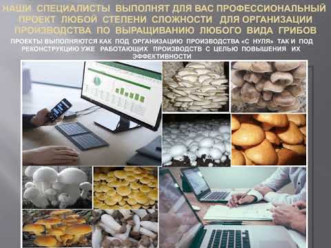 http://img.youtube.com/vi/SJYh9gskC9k/0.jpg
