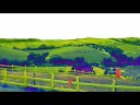 Aroma [MV] Greenfield