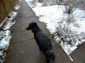 Happy for snow