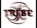 videos de Triibe Logo XP