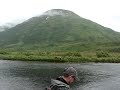 fishing with kodiak bears part 2