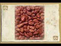 Introducci�n a la Cocina Prehisp�nica pt 2