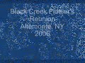 Black Creek Fiddler Reunion - Bonneparte Crossing the Rhine