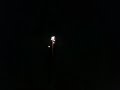 Big crackling roman candle