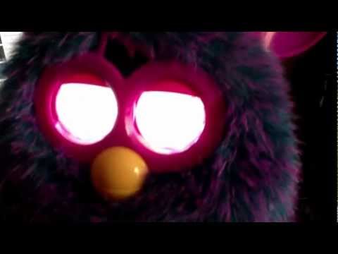 how to train furby