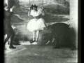 videos de Brontosaurus Chorus - Because The Night