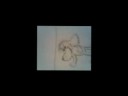 who to draw cartoon funny dog comics who to draw cartoon funny dog comics