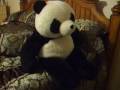 A Beary Merry Christmas A Beary Merry Christmas