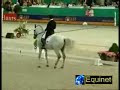 Dressage-C Pinto & Notavel CDI Rotterdam 07 Kur