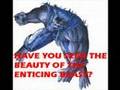 Sonata Arctica misheard interpretation: Wolf & Raven