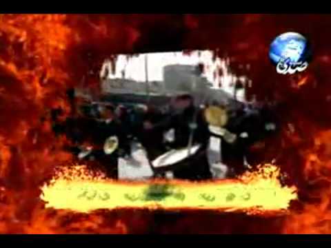 كلاب مع حيوانات