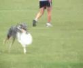 Catahoula Crash Wins 4th in Women\ Catahoula Crash Wins 4th in Women\