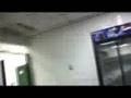 kvlt videos 2