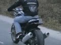 Ducati Monster Crazy Demons
