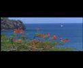 o tahiti e  te hamataraa 1998 from www ica pf
