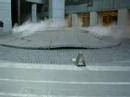 fountain 2