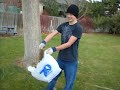 Kanon cleaning up the squirrel (part 2)