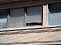 Window Scilon!