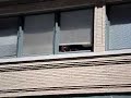 Window Scilon!