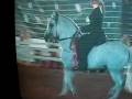 videos de El Intocable de Amadeus Grand Prix 08 4