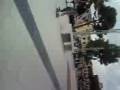 videos de io ale sullo skate p.alberti