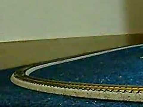 鉄道模型　Nゲージ　SLパレオエクスプレスの走行