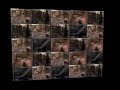 R3D14: Bad Cod4 Players
