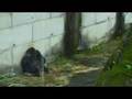 CLIP0064