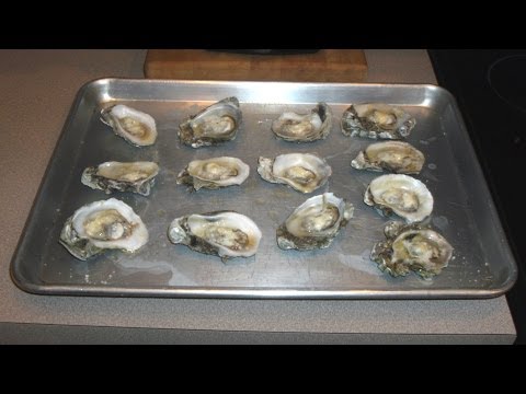 how to treat raw oysters