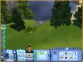 Where to find the Money Tree Seed on Sims 3