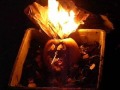Ultimate Pumpkins Ultimate Pumpkins