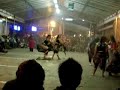 kuda mabok  A