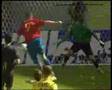 TIBURON Puyol