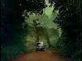 【CM】MOVE CUSTOM　柴咲コウ