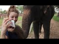 An out-take from the film of Peter the Elephant playing with a Samsung Galaxy Note (youtu.be