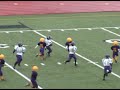 Lynx football 2008-10-04 another nice run