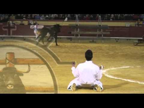 raton -