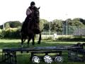 Showjumping Summer 07