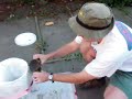 how to clean dungeness crab