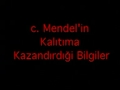 Mendelİn Kalitima KazandirdiĞi Bİlgİler Ve Mendel Yasalari.mpg